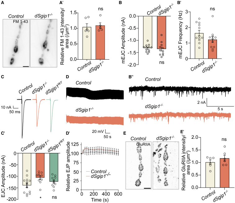 Figure 6