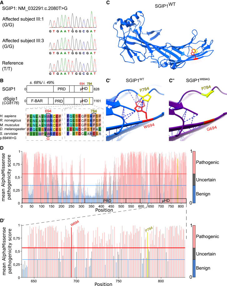 Figure 2