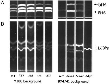 FIG. 7.