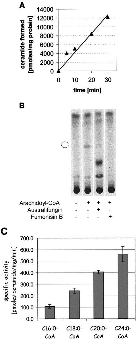 FIG. 5.