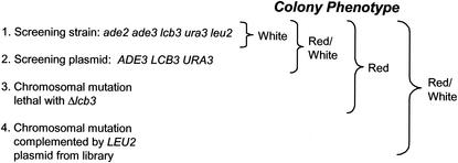 FIG. 2.