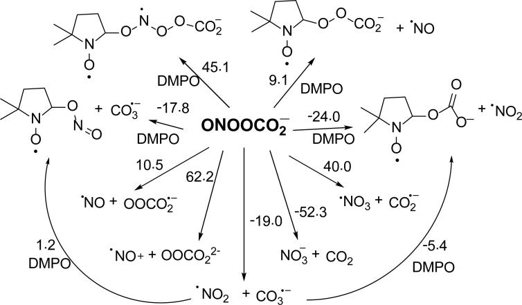 Scheme 5