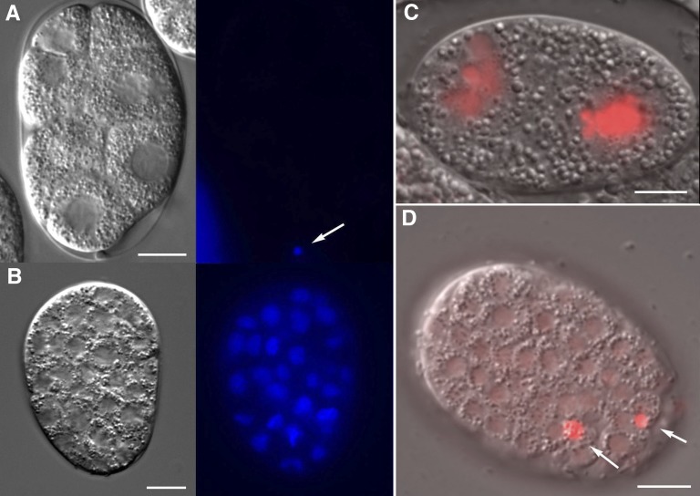 Figure 14