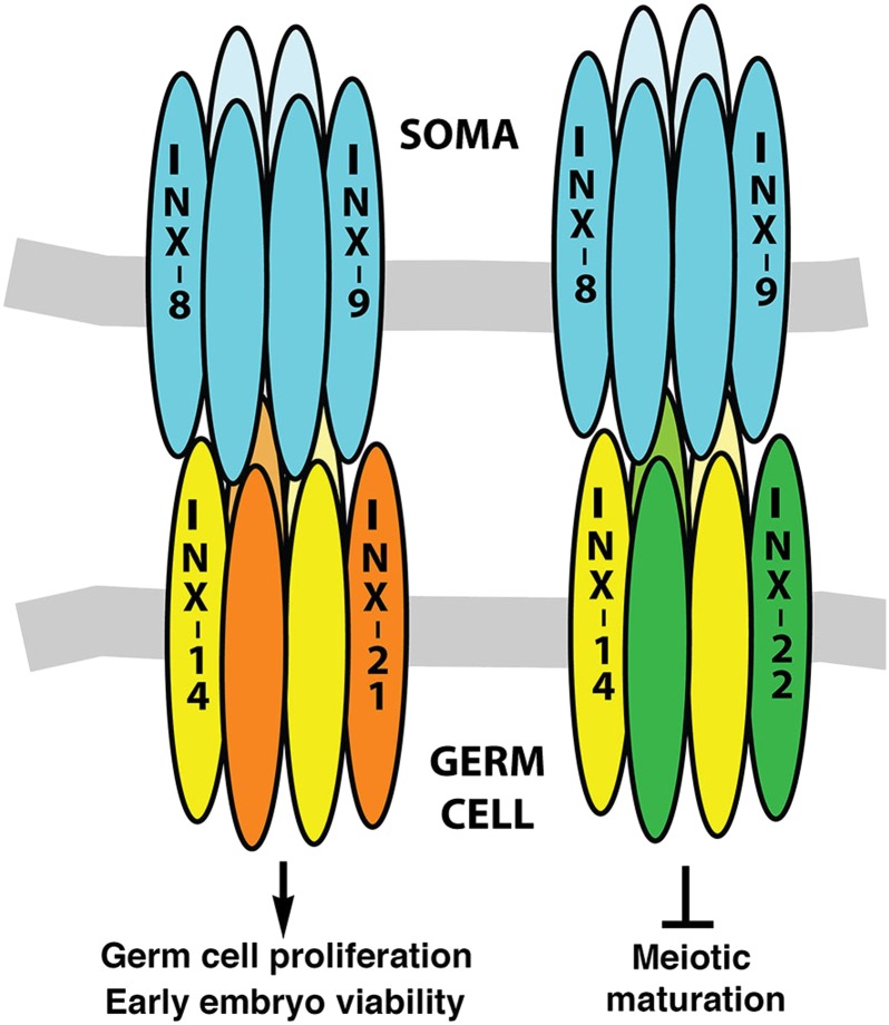 Figure 18