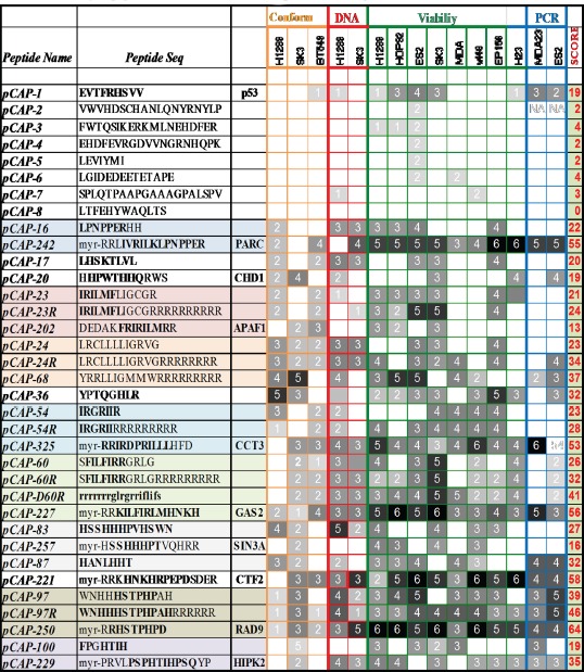 graphic file with name oncotarget-07-11817-t001.jpg