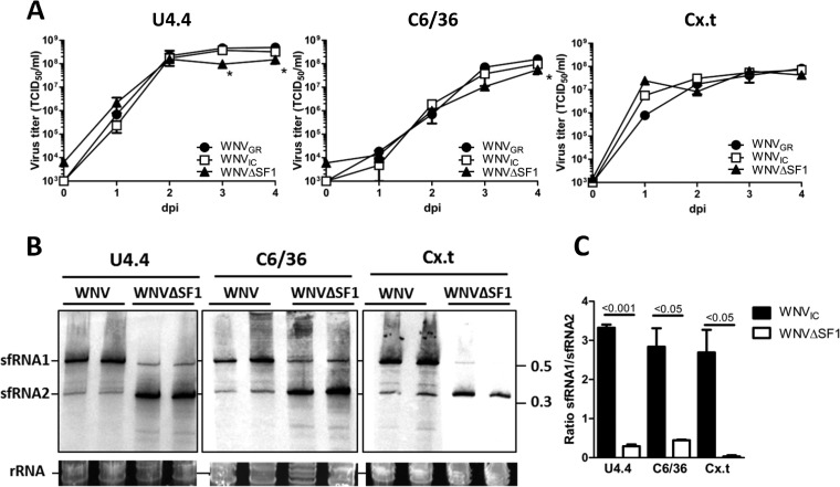 FIG 2