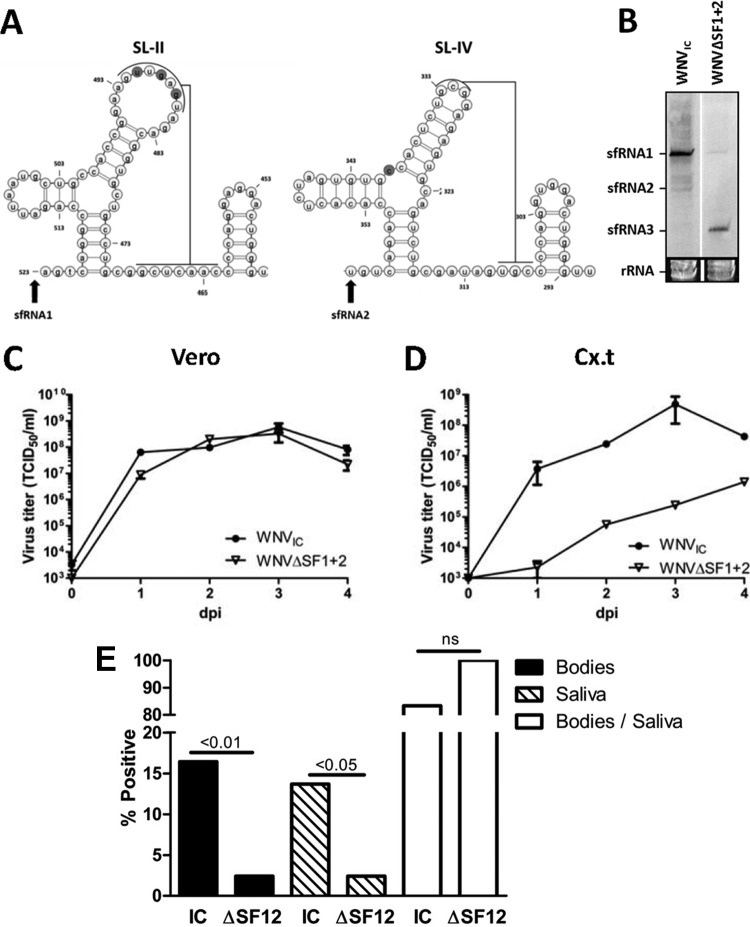 FIG 8