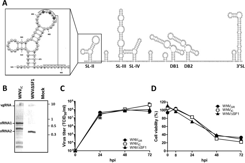 FIG 1