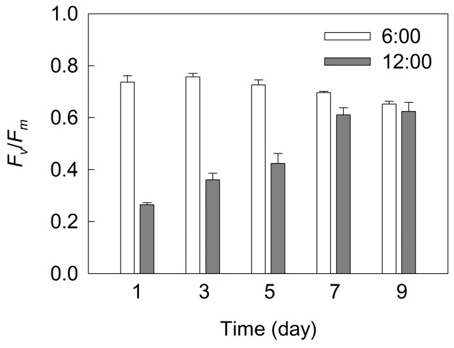 Figure 10