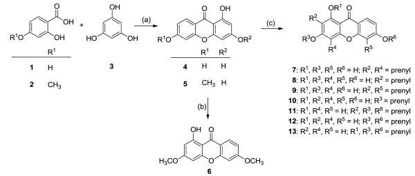 Scheme 1