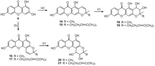 Scheme 2