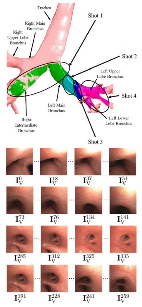 Fig. 6.