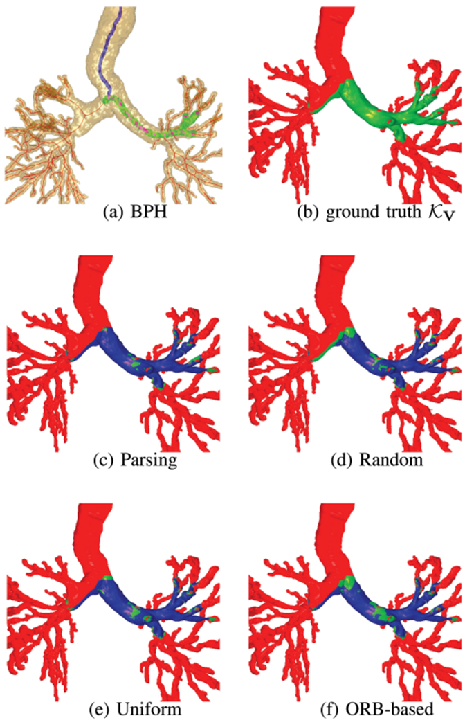 Fig. 8.