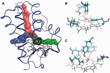 Fig. 1.