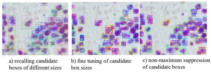 Figure 13