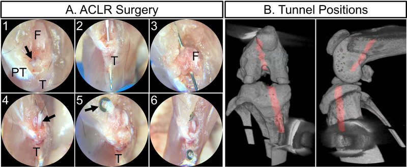 Fig. 2: