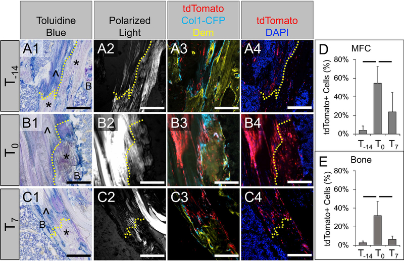 Fig. 7: