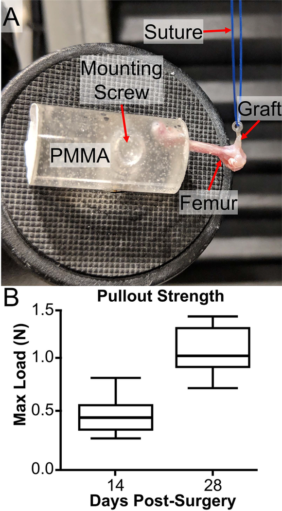 Fig. 8: