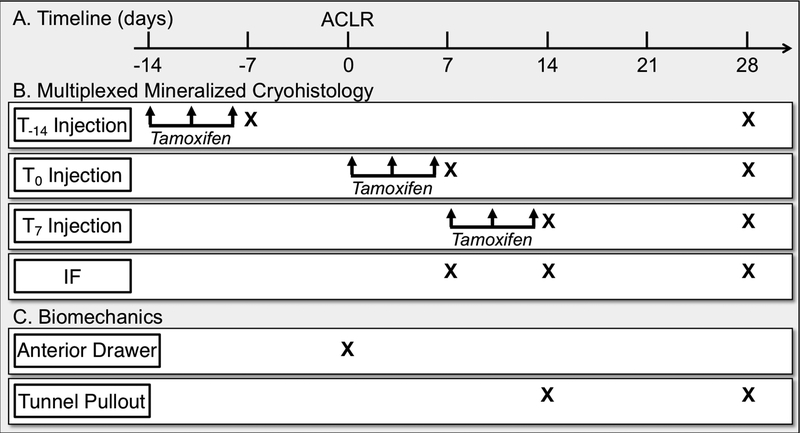 Fig. 1: