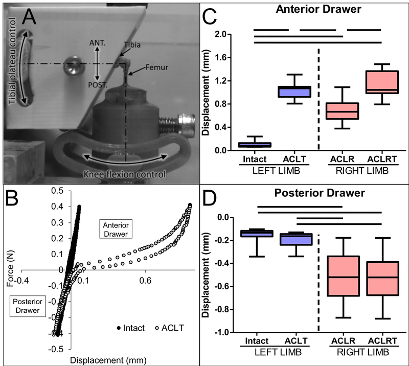 Fig. 3: