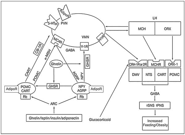 Fig 1