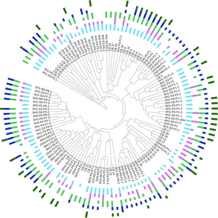 FIG 5