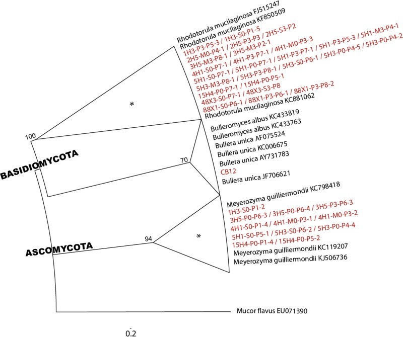 FIG 3