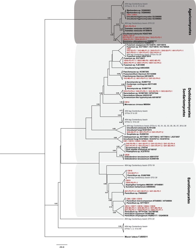 FIG 2