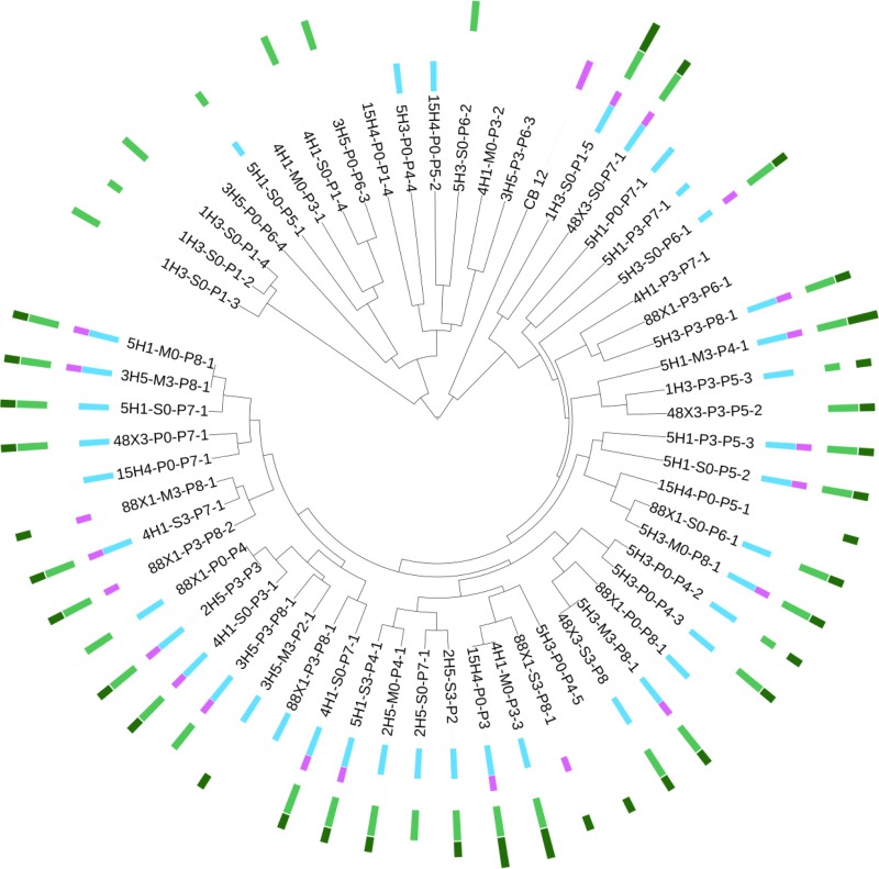 FIG 6