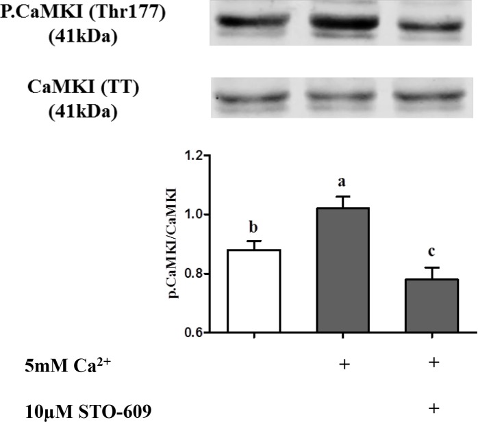 Fig 9