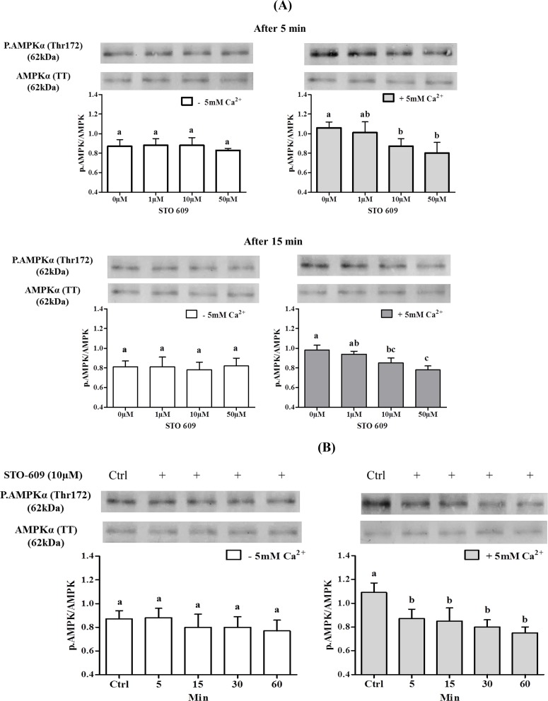 Fig 8