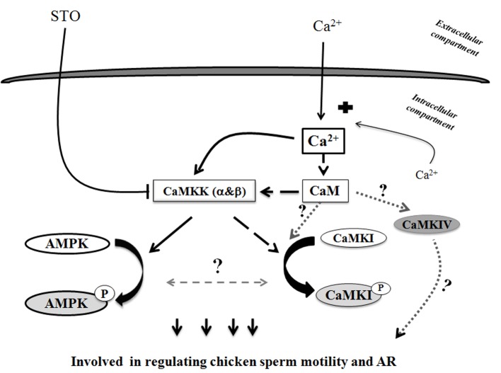 Fig 12