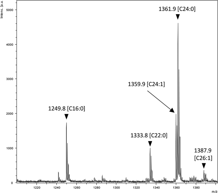 Fig. 2