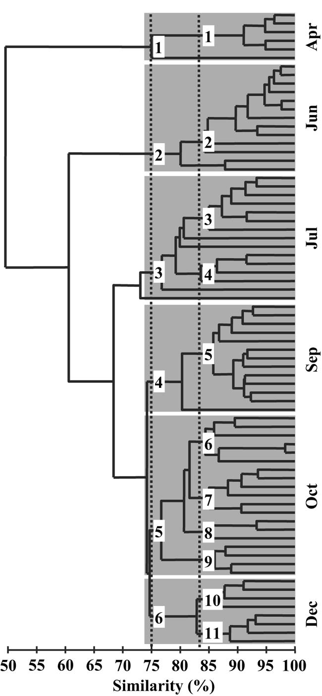 FIG. 2.