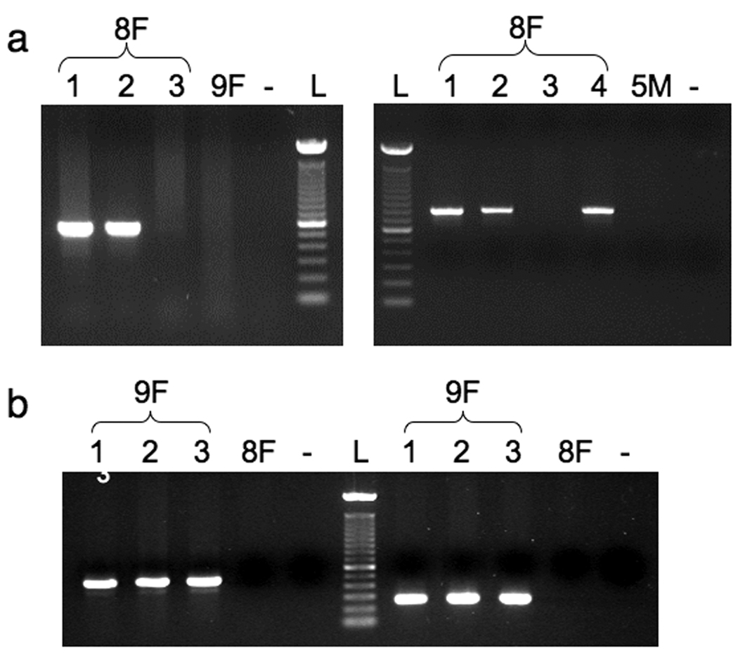 Fig. 5