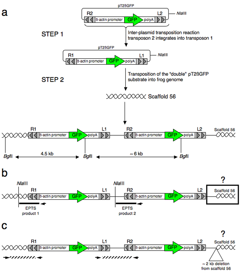 Fig. 9