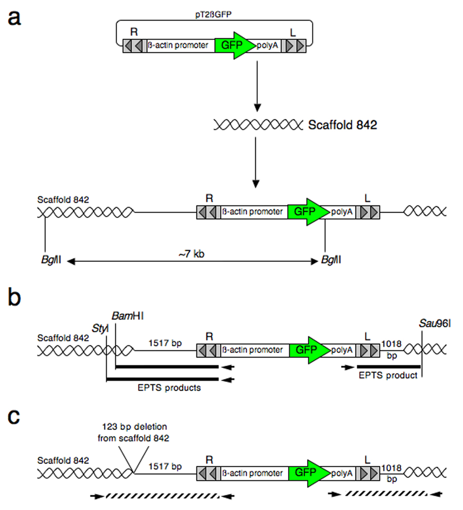 Fig. 8