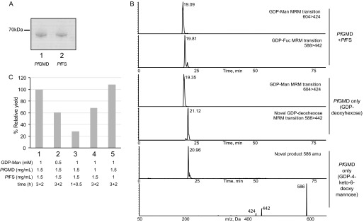 FIGURE 4.