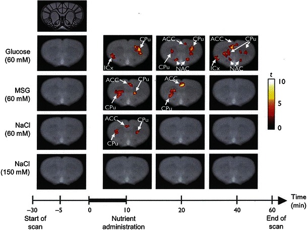 Fig. 3