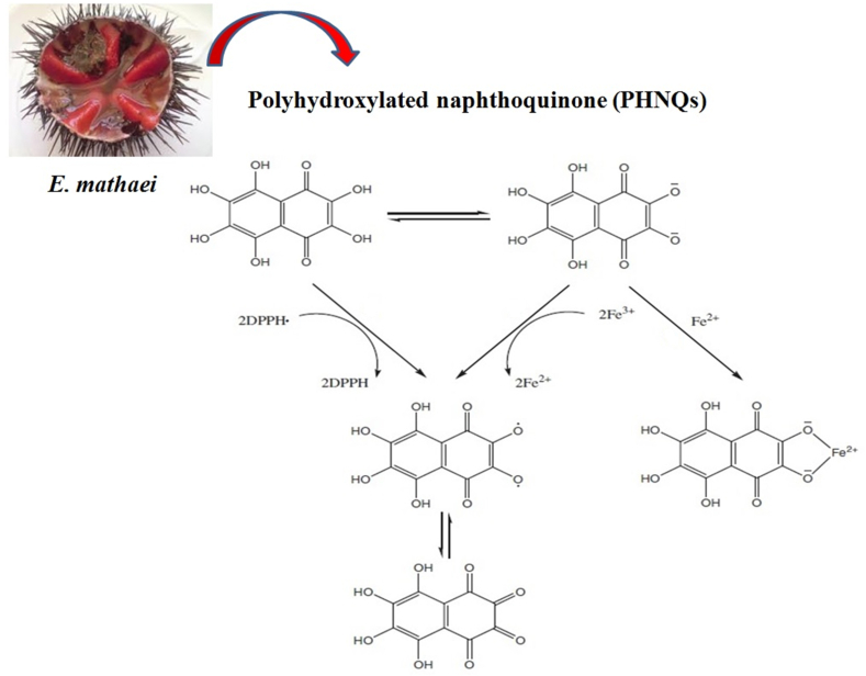 Figure 4