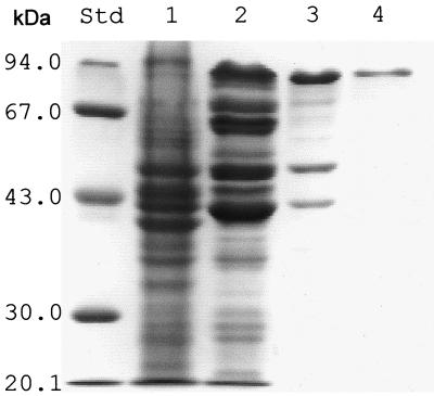 FIG. 1