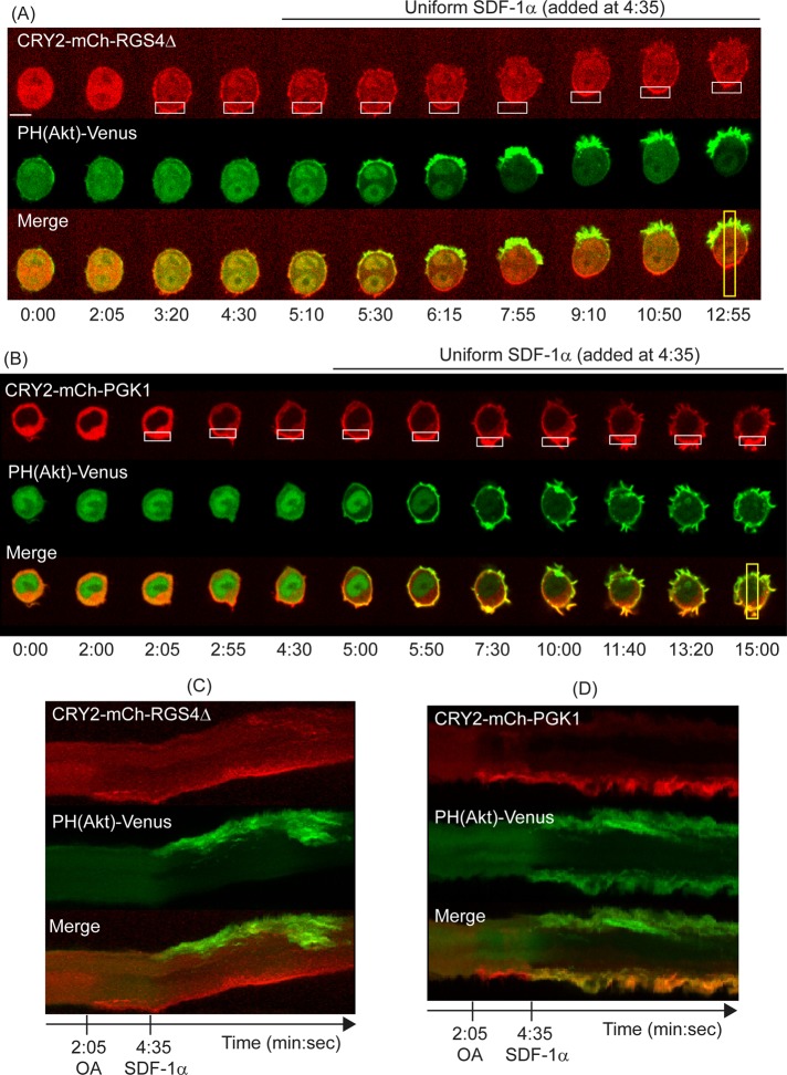 FIGURE 3