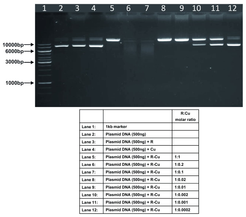 Figure 3. 