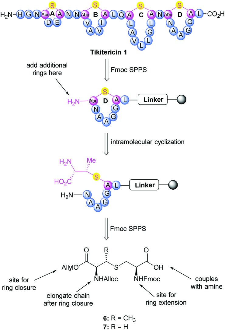 Scheme 1