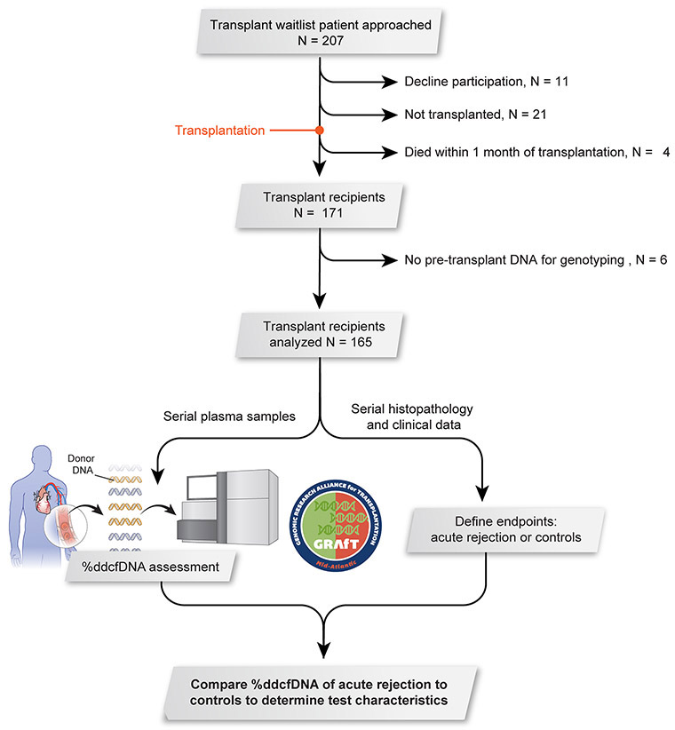 Figure 1: