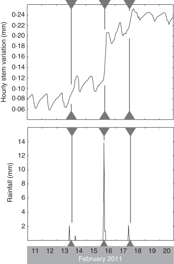 Fig. 6.