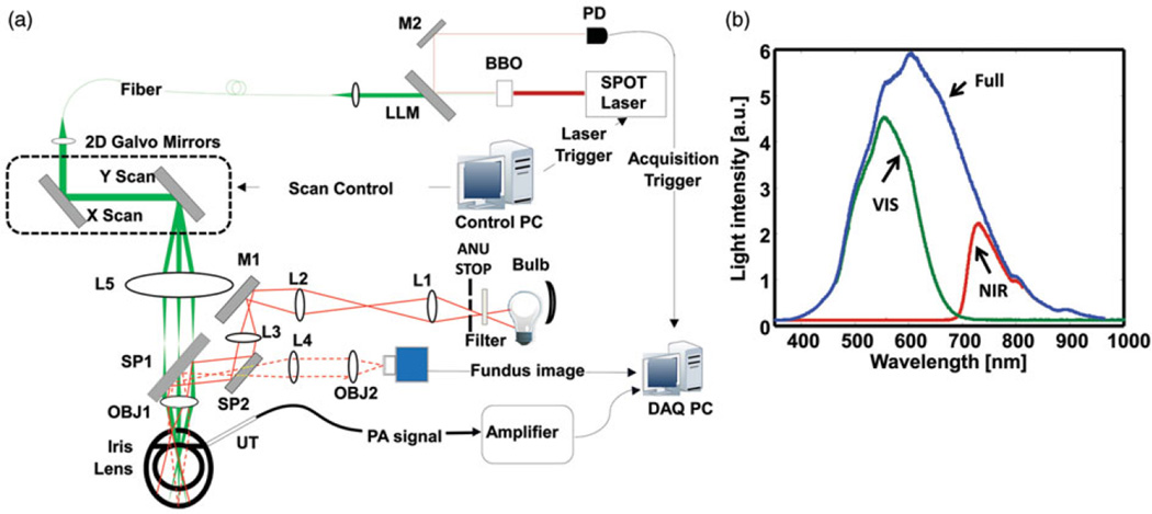 FIGURE 1