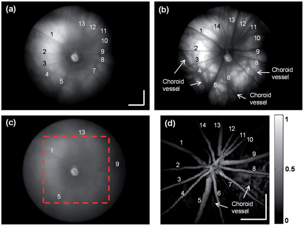 FIGURE 3