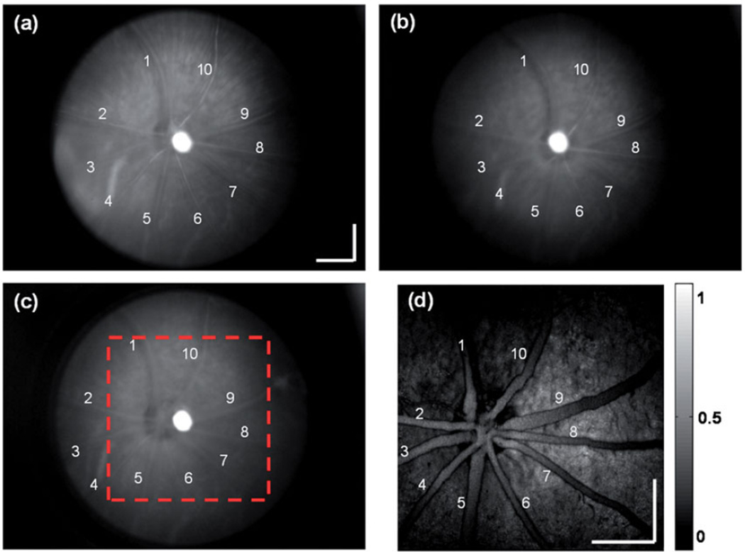 FIGURE 4