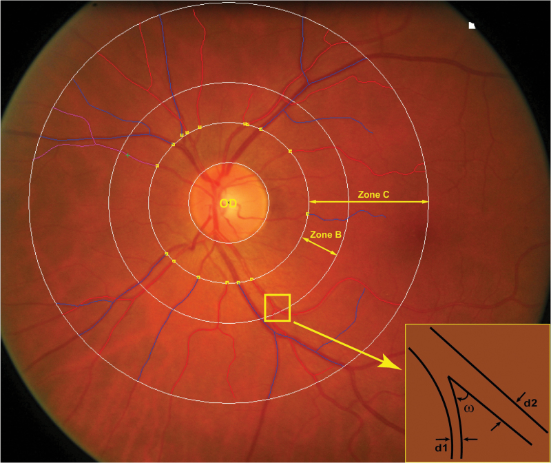 Figure 1.